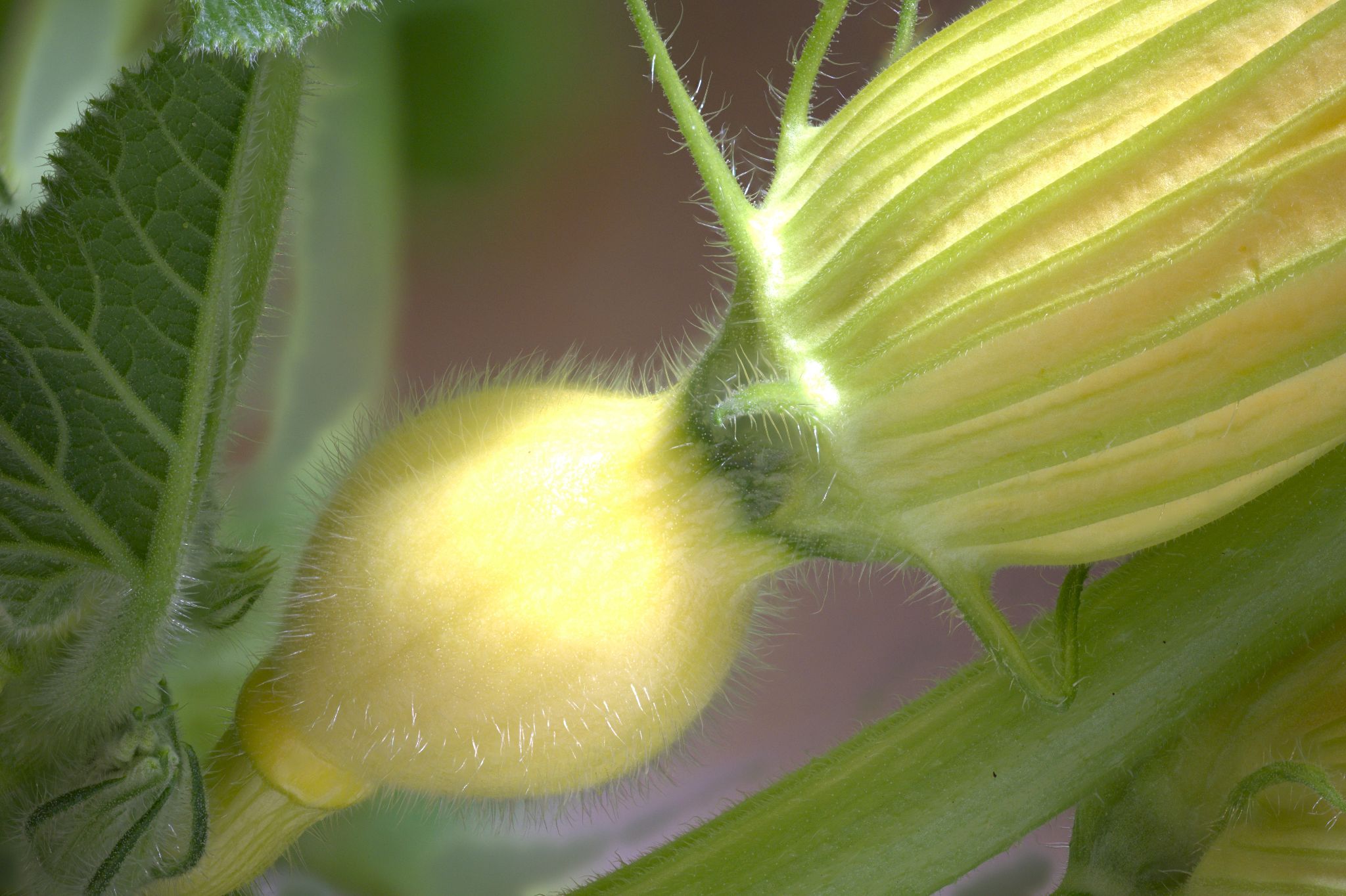 2022 05 04 23 00 42 (B,R8,S4)